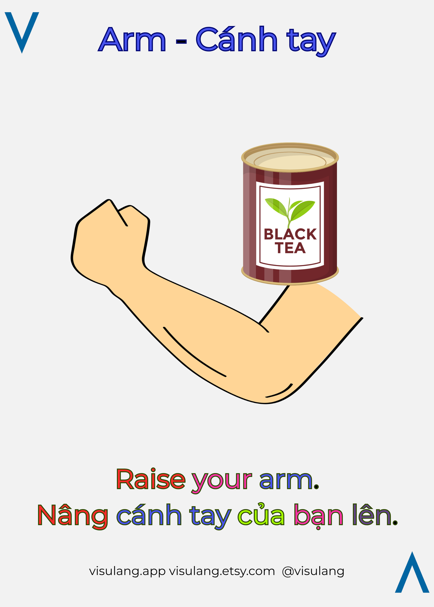 Arm in Vietnamese - Cánh tay: Raise your arm - Nâng cánh tay của bạn lên