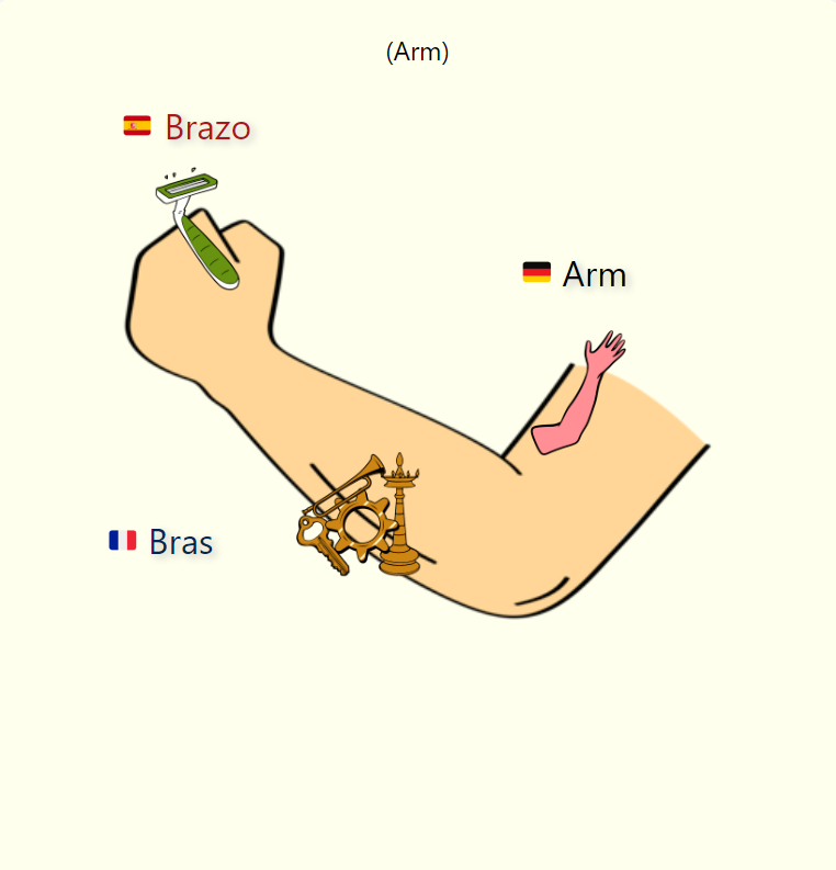 Learn Spanish, German & French: 50 Flashcards for Beginners