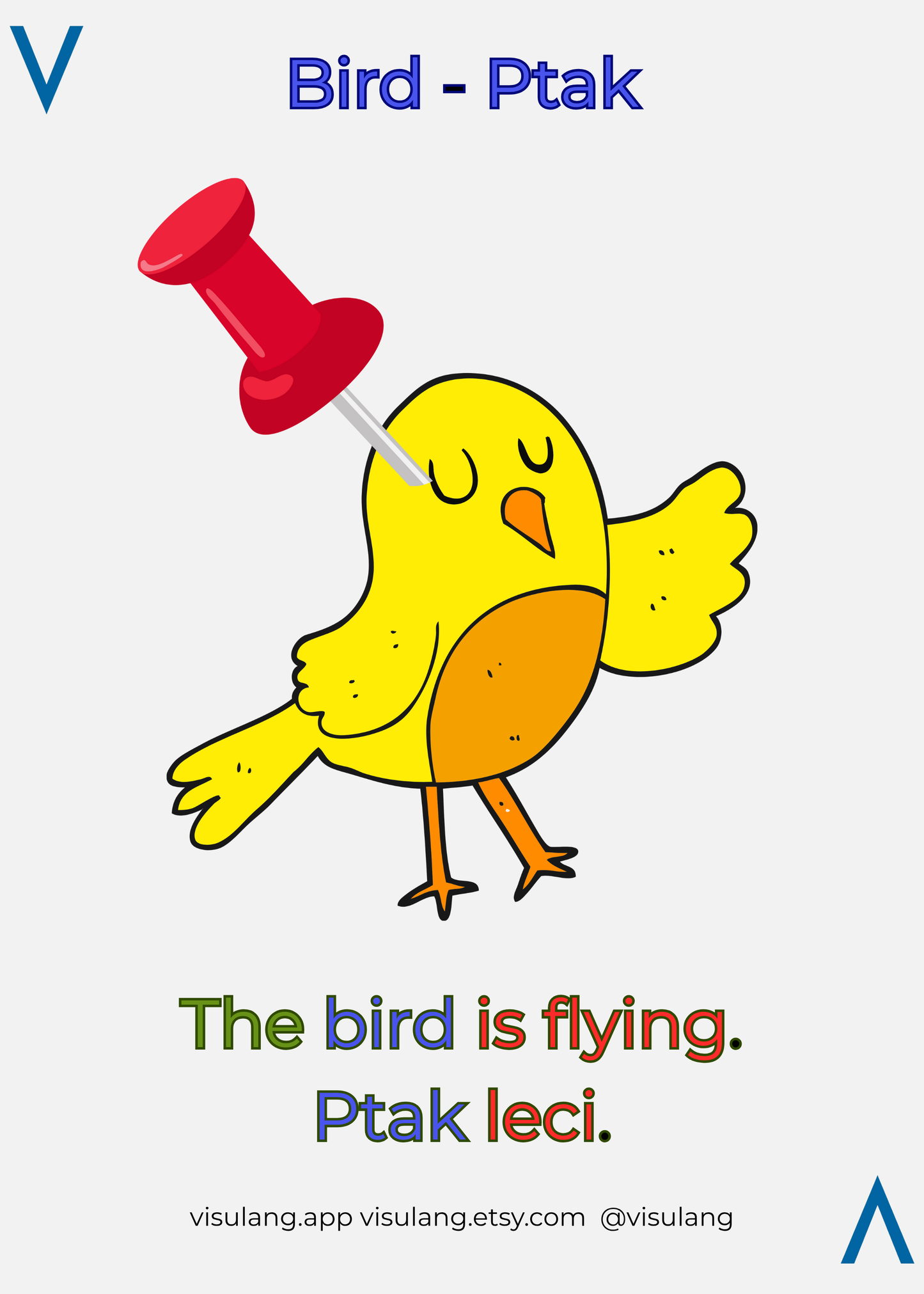 Polish flashcard for "bird"
