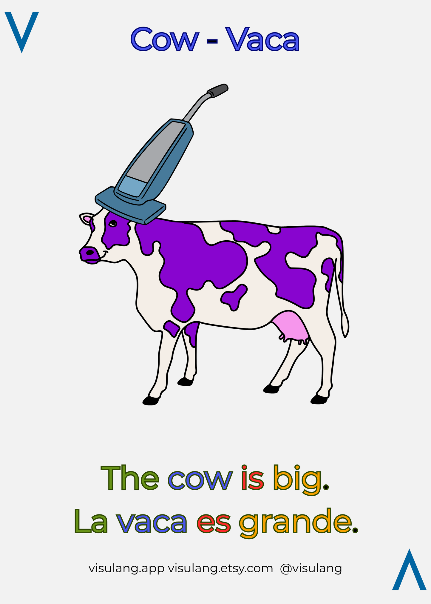 The cow is big - La vaca es grande