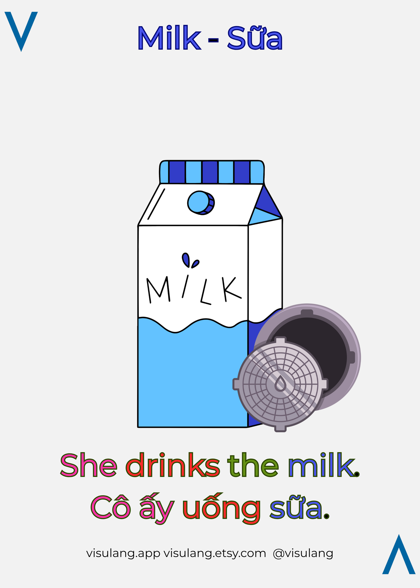 She drinks the milk - Cô ấy uống sữa - Vietnamese flashcard