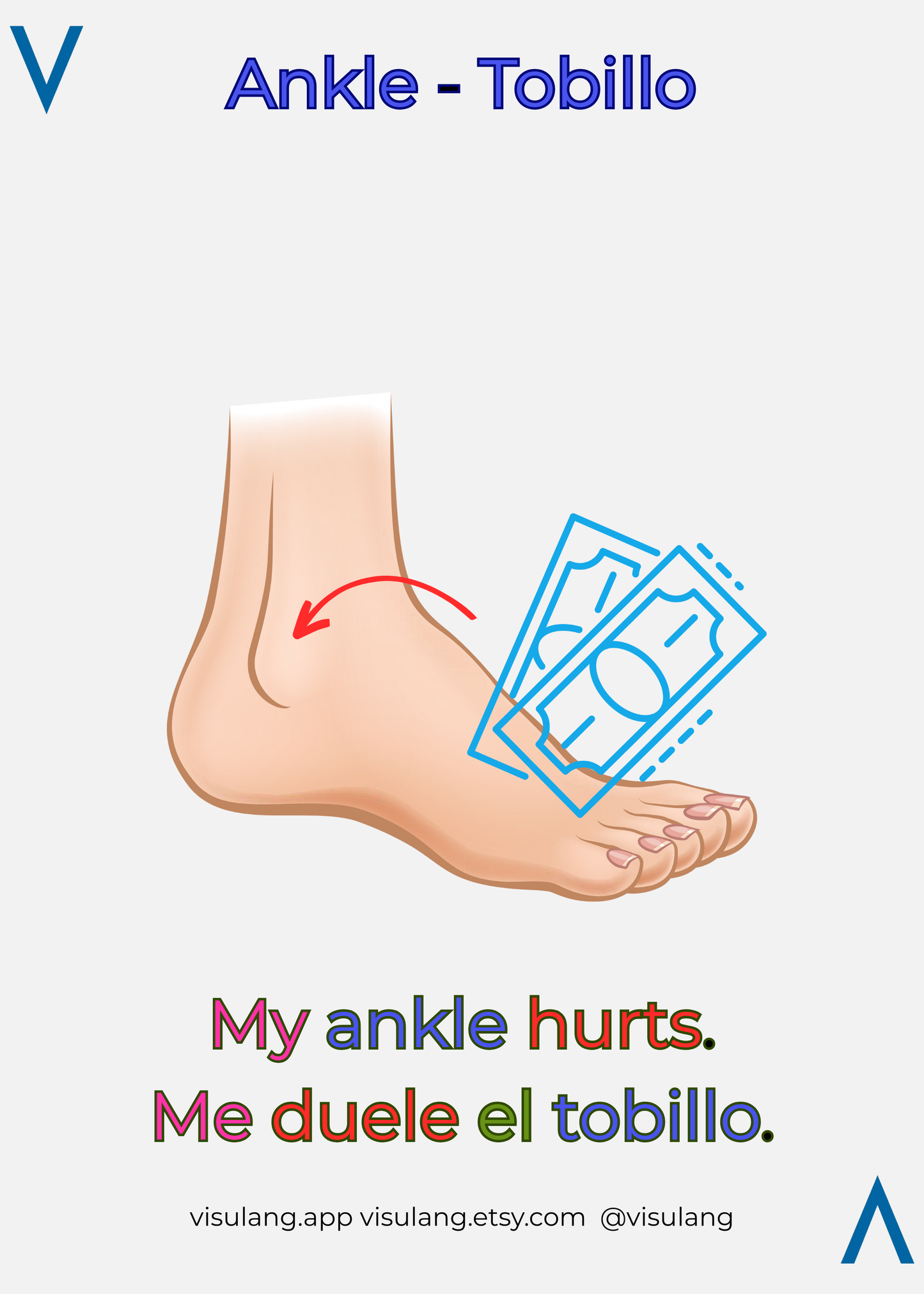 My ankle hurts. Me duele el tobillo.

Visulang empowers learners of all levels with mnemonic aids, such as this ankle paired with "two bills" to anchor the Spanish word "Tobillo."