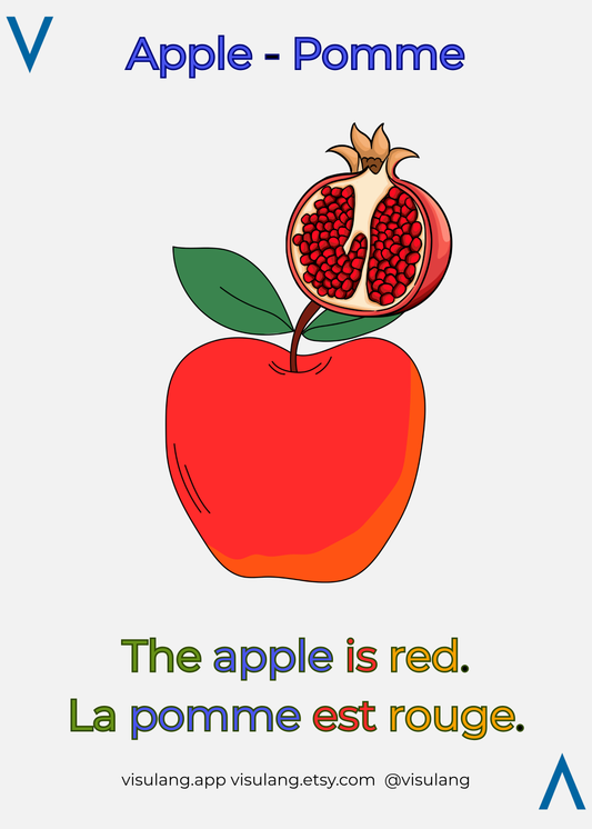 Illustration of a red apple with a pomegranate inside, labeled 'Apple - Pomme' on a white background.