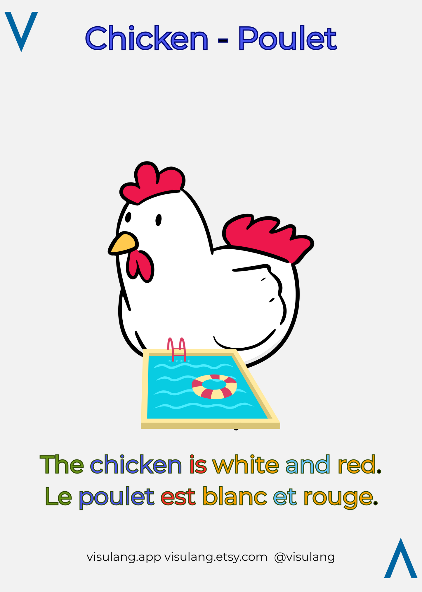 The chicken is white and red - Le poulet est blanc et rouge
