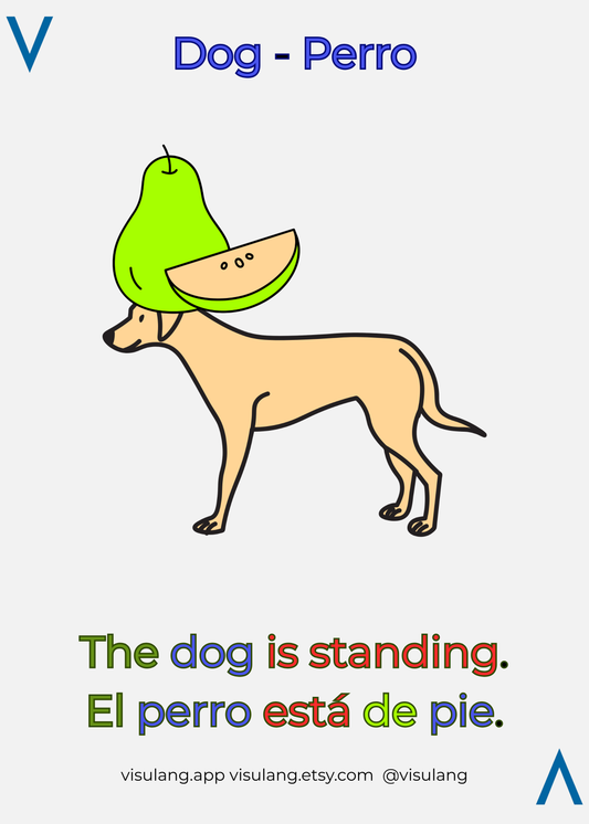 Illustration of a dog wearing a green pear-shaped helmet with text in English and Spanish.