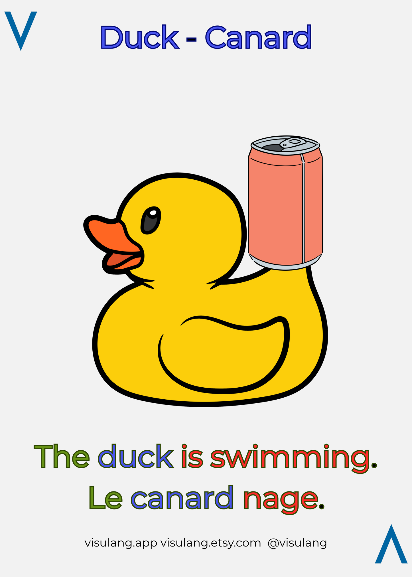 The duck is swimming - Le canard nage