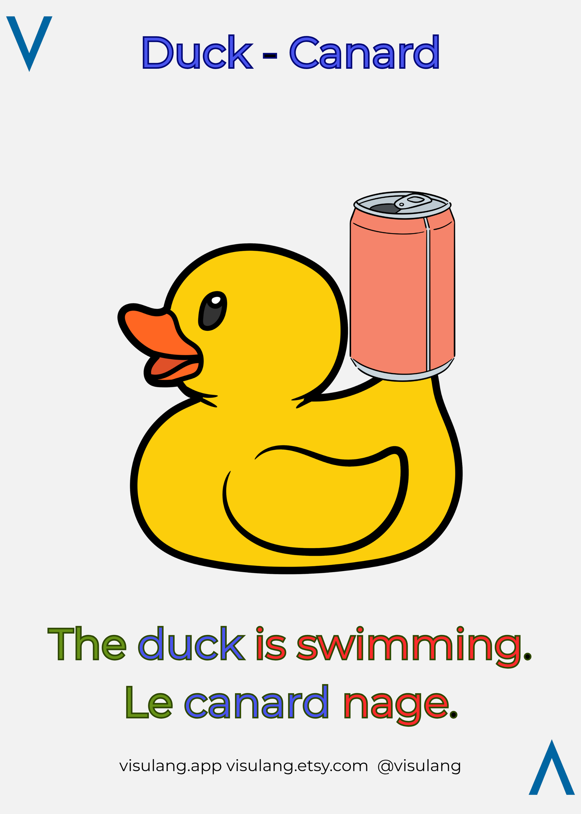 The duck is swimming - Le canard nage