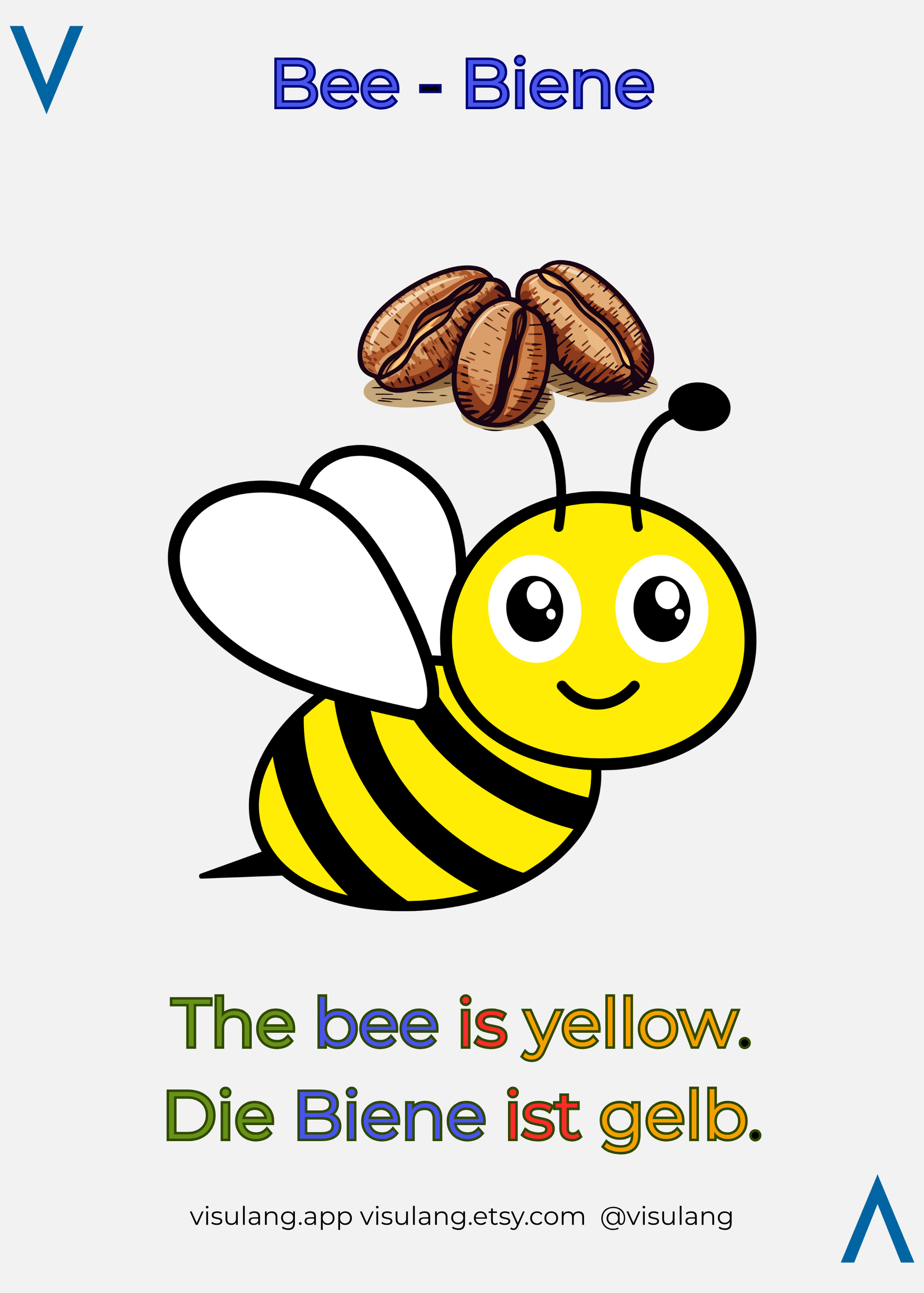 Visual association for Bee and Biene using coffee beans as a mental anchor. Includes the translated sentence The bee is yellow and Die Biene ist gelb.