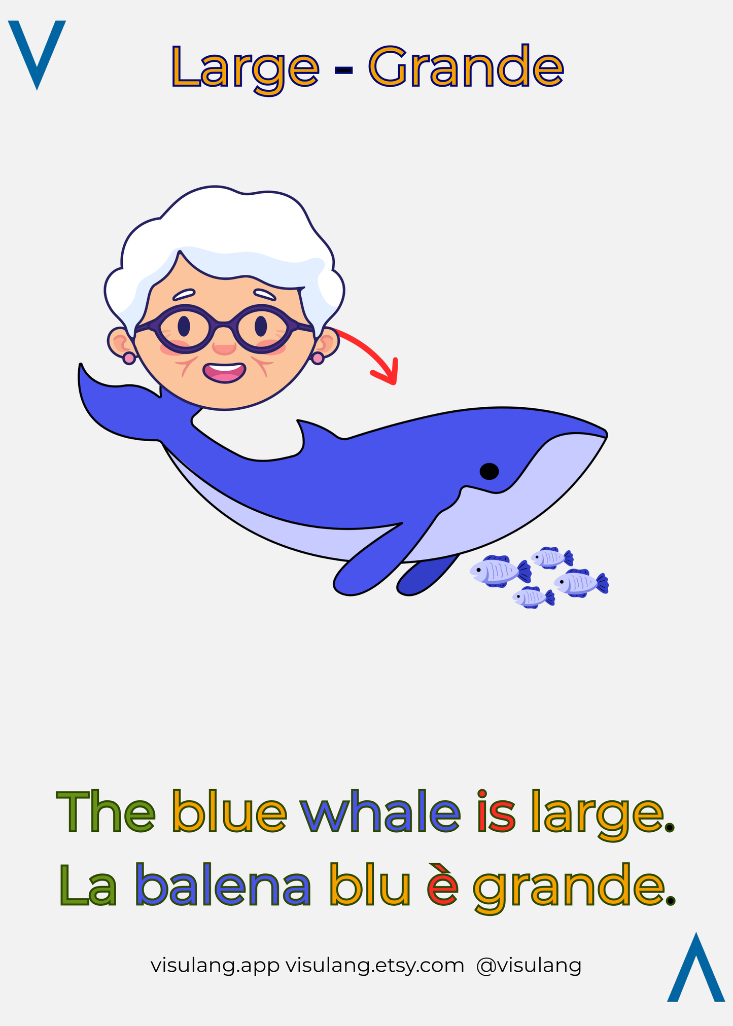 Visual Italian Flashcards