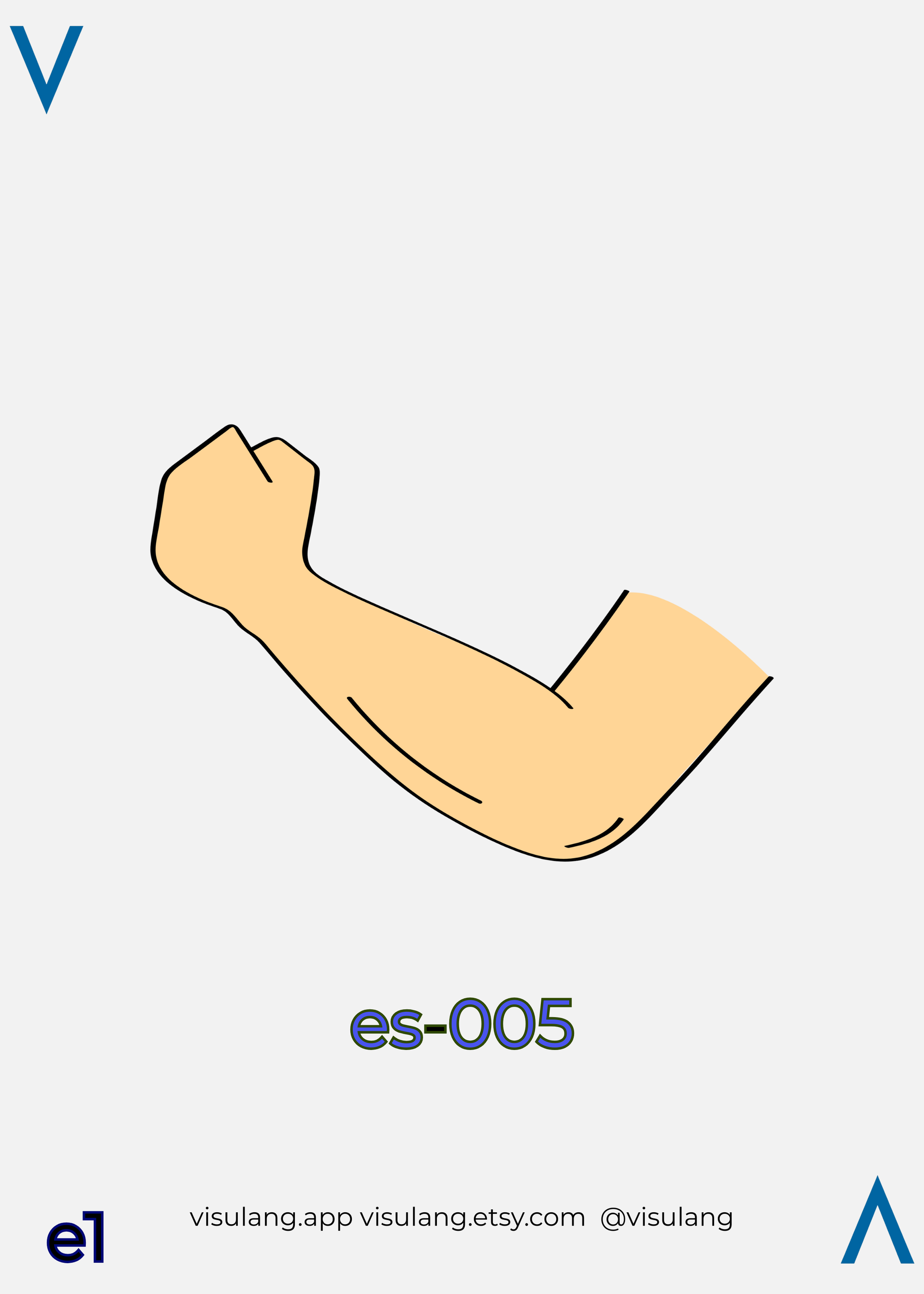 Illustration of a flexed arm with index es-005. The Visulang structural numbering system serves as a neural scaffold to ensure rapid retrieval and memory stability for language learners.
