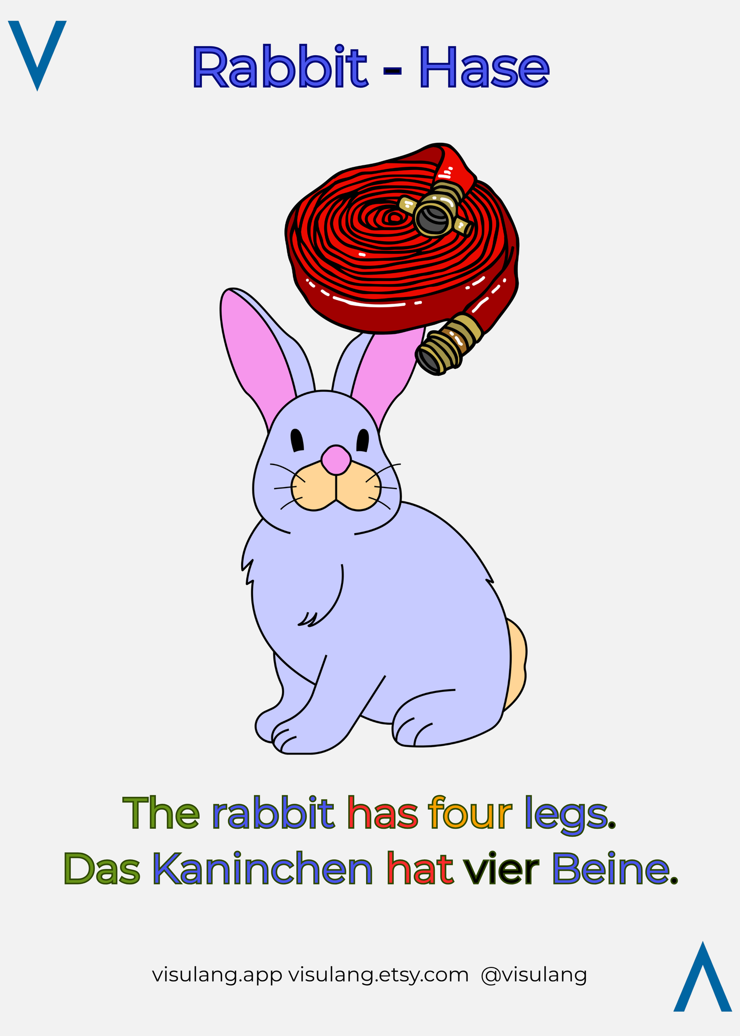 The rabbit has four legs - Das Kaninchen hat vier Beine.