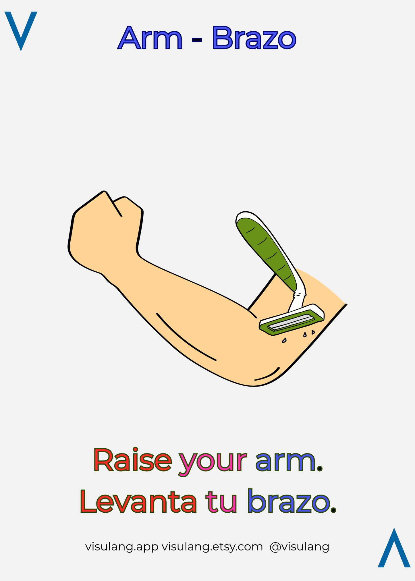 This Visulang card illustrates a flexed arm being shaved with a green razor, creating a memorable visual association for learners of all levels to master the Spanish word "Brazo."