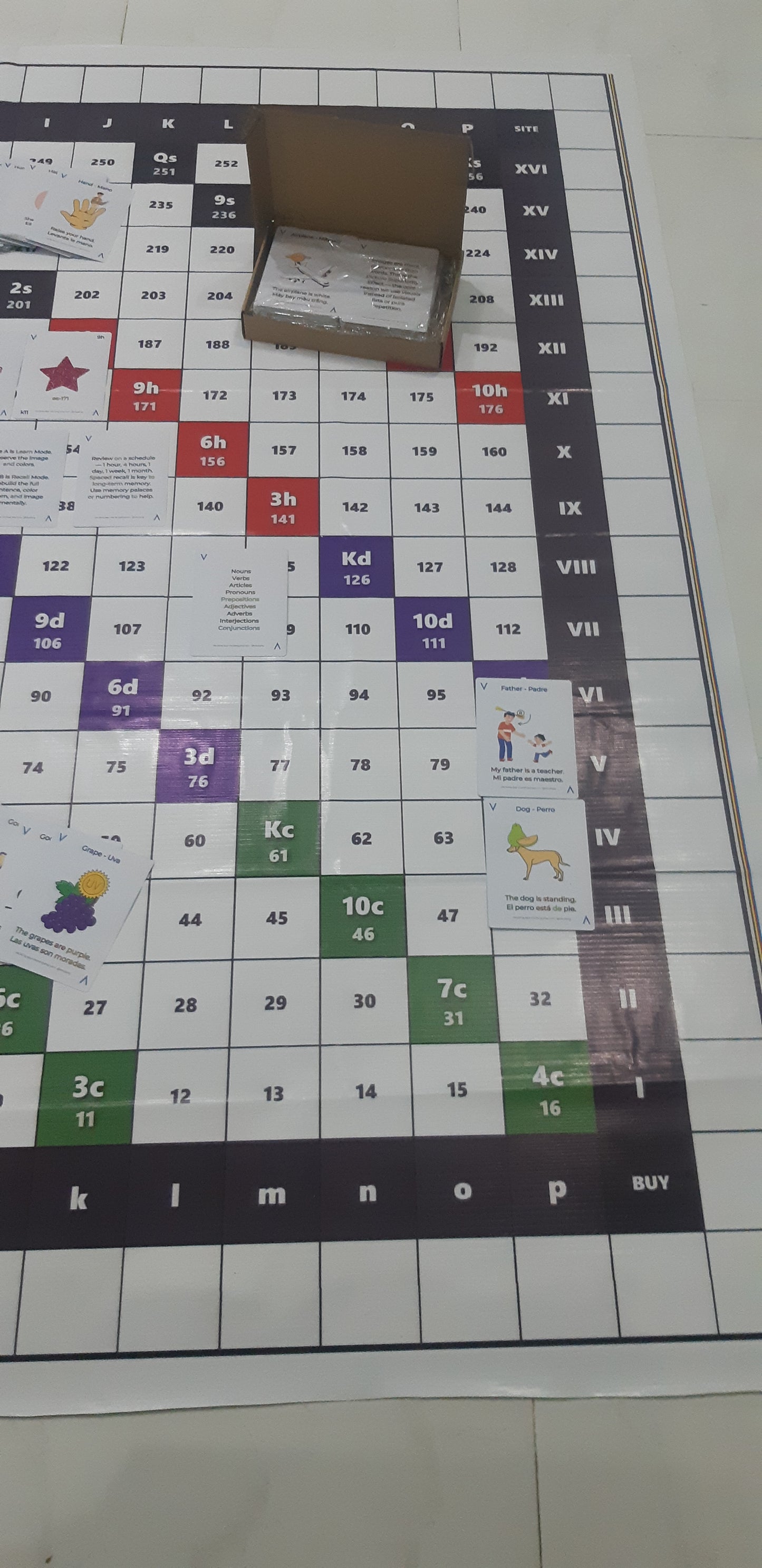 Visulang V8 Spatial Mnemonic Grid technical layout for universal language acquisition. Detailed view of the 256-word anchor set organized by alphabetical stability and coordinate mapping for permanent memory retrieval across any target language.