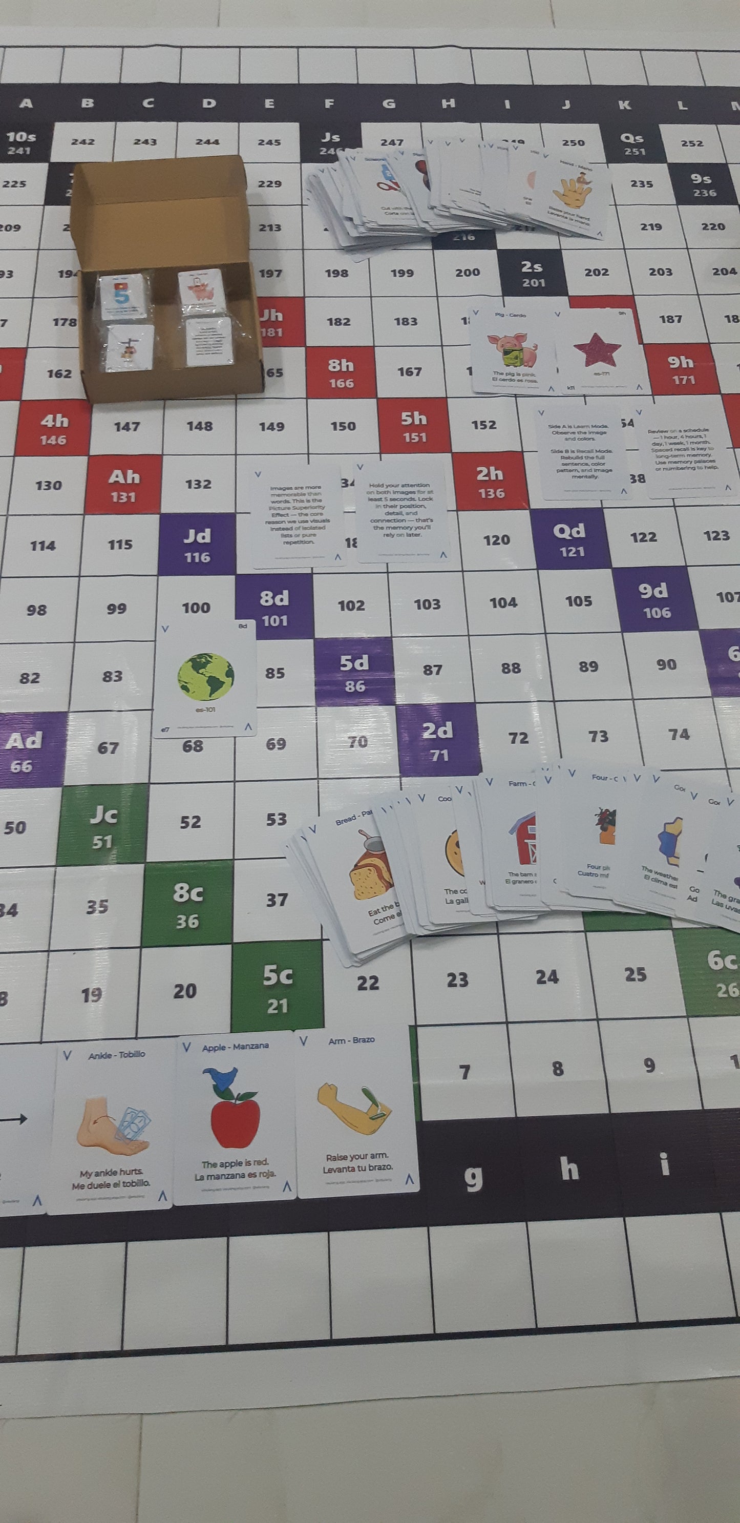Scientific methodology of the Visulang V8 Grid for universal language acquisition. Architectural diagram illustrating the transition from initial cognitive engagement to permanent linguistic mastery through stable spatial anchoring and coordinate logic.