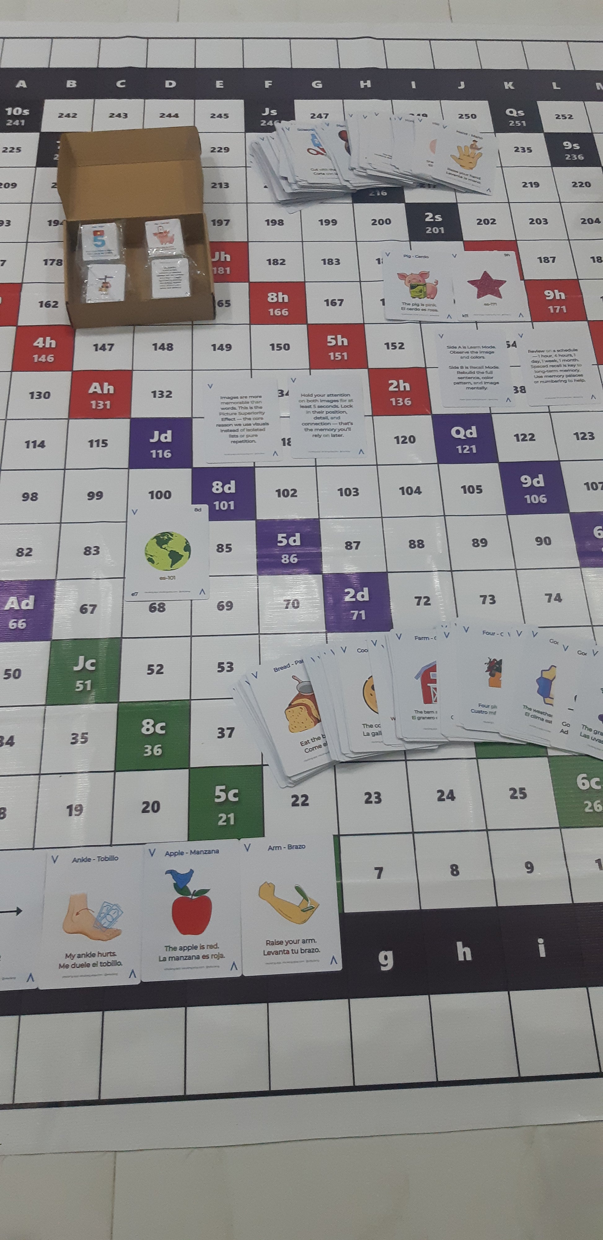 Scientific methodology of the Visulang V8 Grid for universal language acquisition. Architectural diagram illustrating the transition from initial cognitive engagement to permanent linguistic mastery through stable spatial anchoring and coordinate logic.