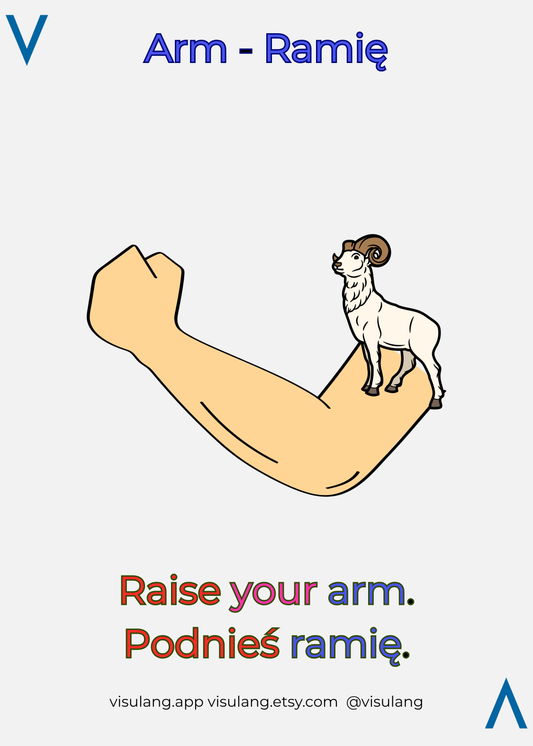 Illustration of an arm with a ram on a white background, featuring text and branding.