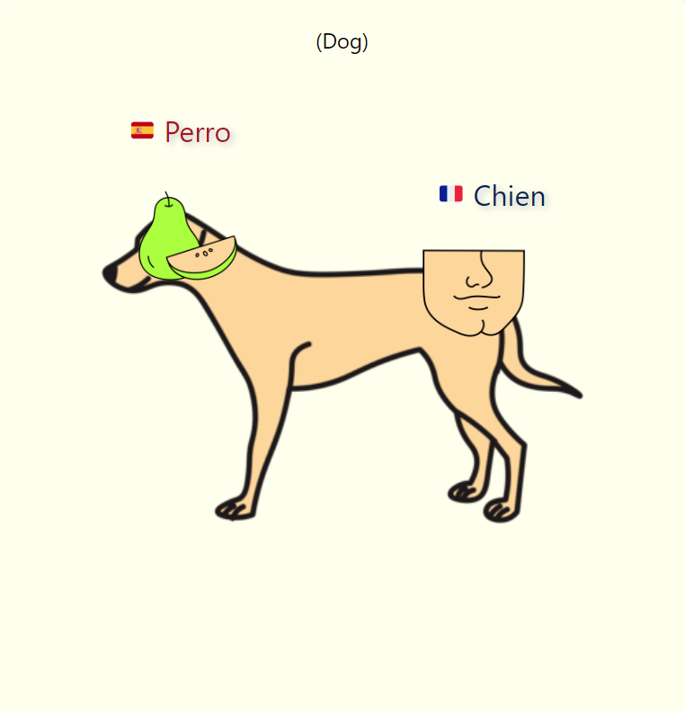 100 Spanish & French Flashcards – Learn Both Languages Together